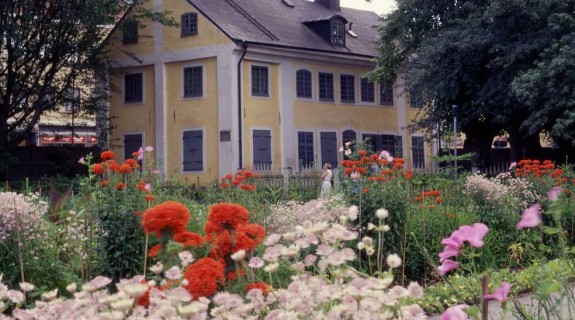 Anders-Damberg-geobild-Linnemuseet-smaller_webb